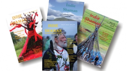 Case-studies-630x400-Indie-Shaman